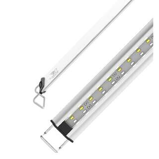 Zetlight MS 30F 6watt LED Light